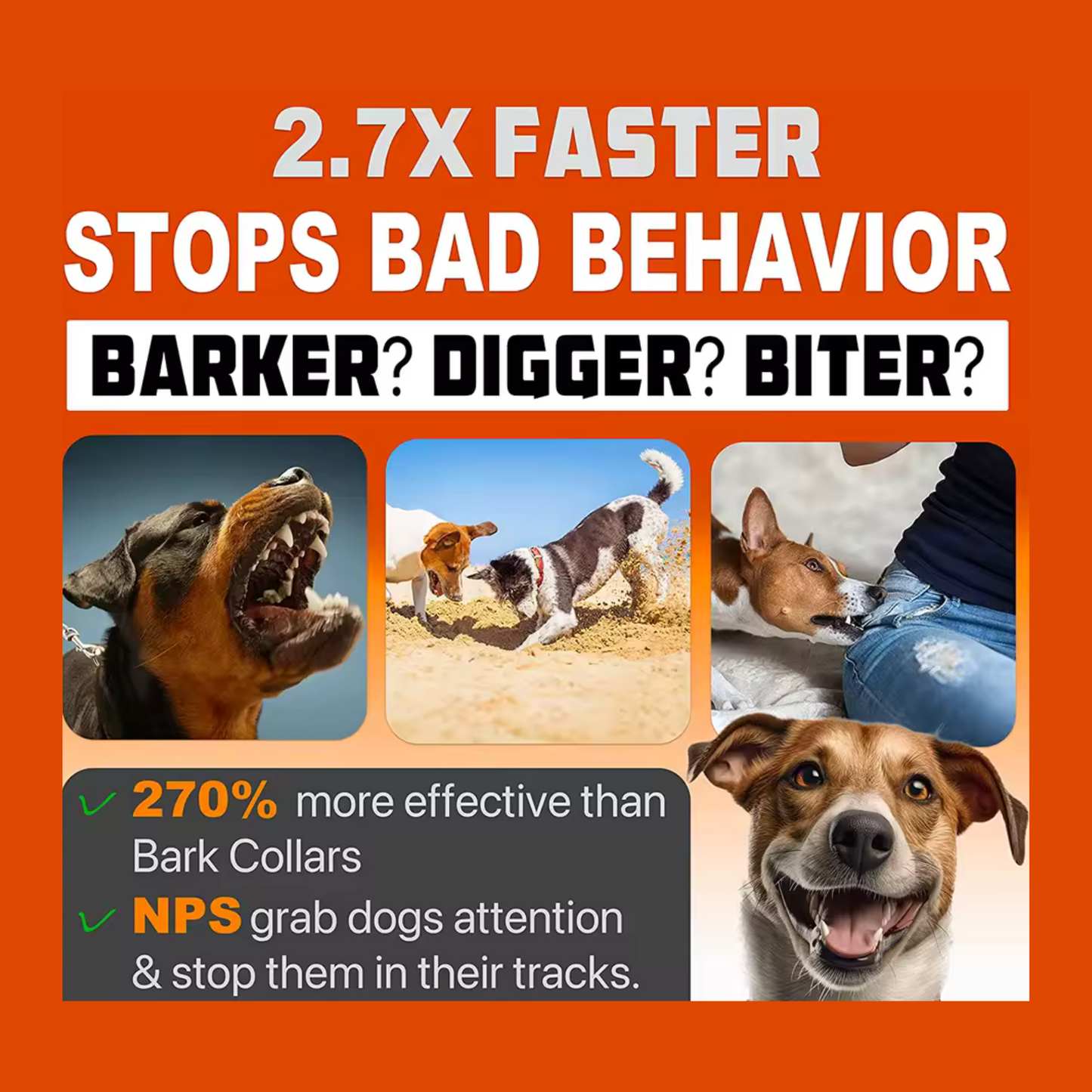 Anti-Bark & Dog Training Device